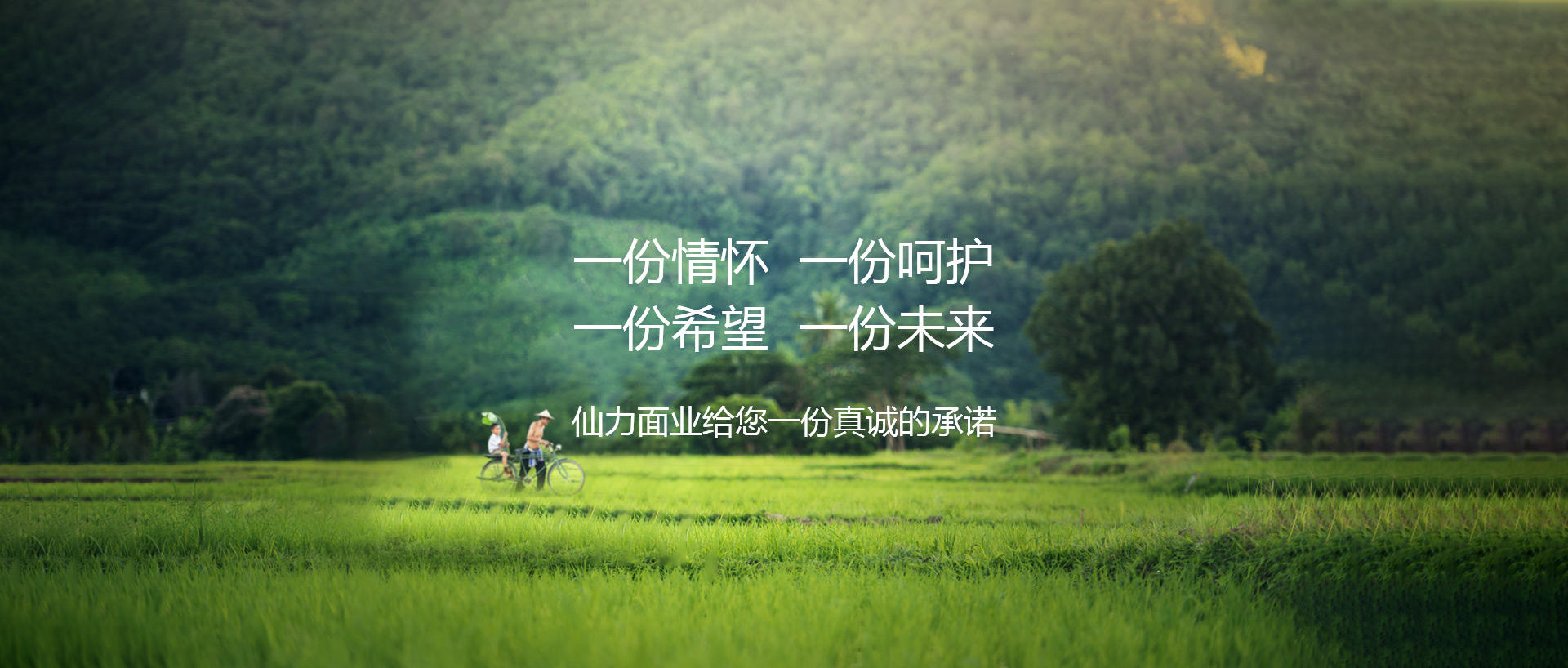 河南仙力面業有限公司